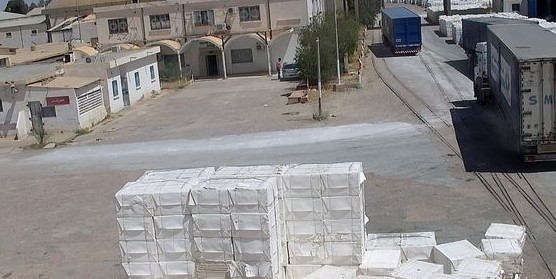 استئناف   الشركة التونسية لعجين الحلفاء والورق  نشاطها