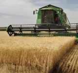 Tunisie : une collecte exceptionnelle  de céréales