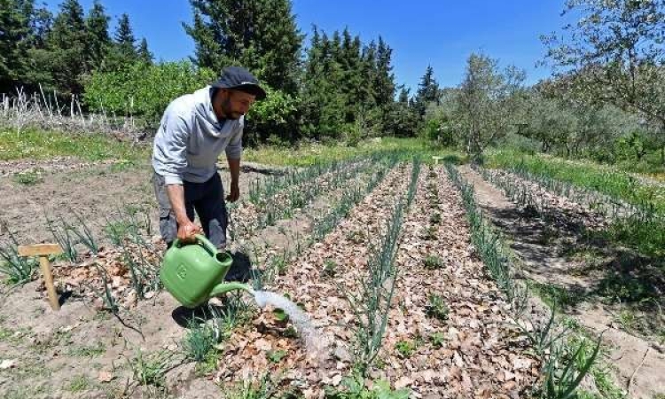 « Eaux 2050 : des plans visant à sécuriser les ressources en eau en Tunisie