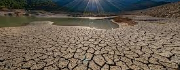 Les émissions de gaz à effet de serre restent à des niveaux records en 2024