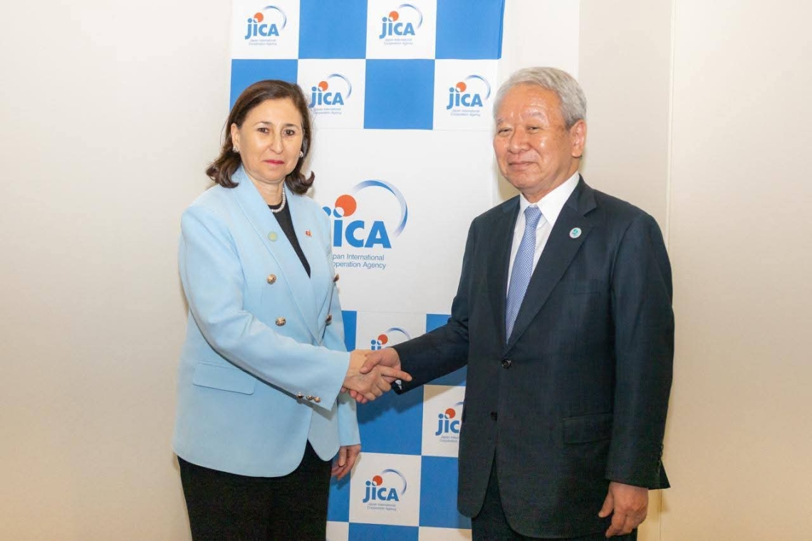 Tunisie – Japan :  avancement de plusieurs projets actuellement en cours