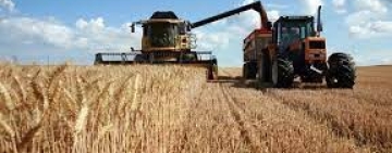 La collecte des céréales touche à sa fin en dépassant la moyenne
