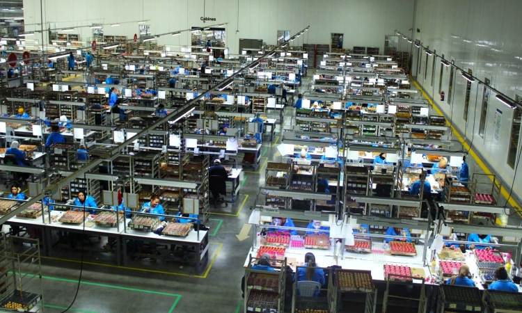 حالة احتقان بالوحدة الصناعية 