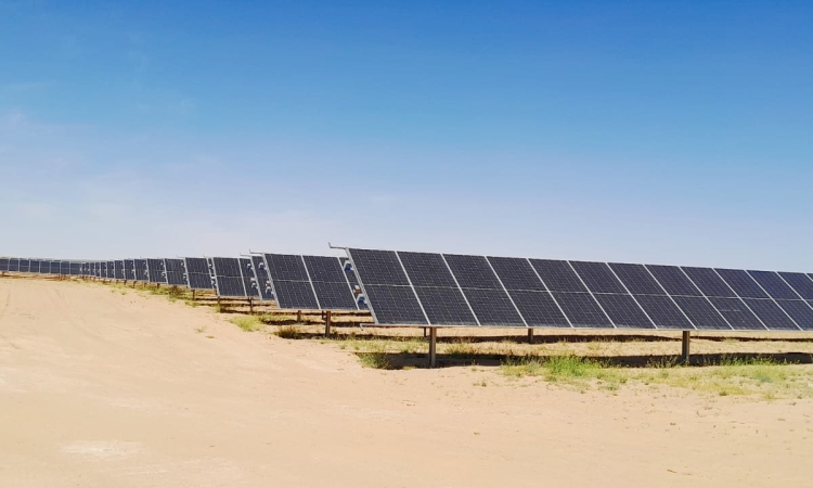 وائل شوشان: تونس تشهد اقبالا من المستثمرين على مشاريع الطاقة النظيفة